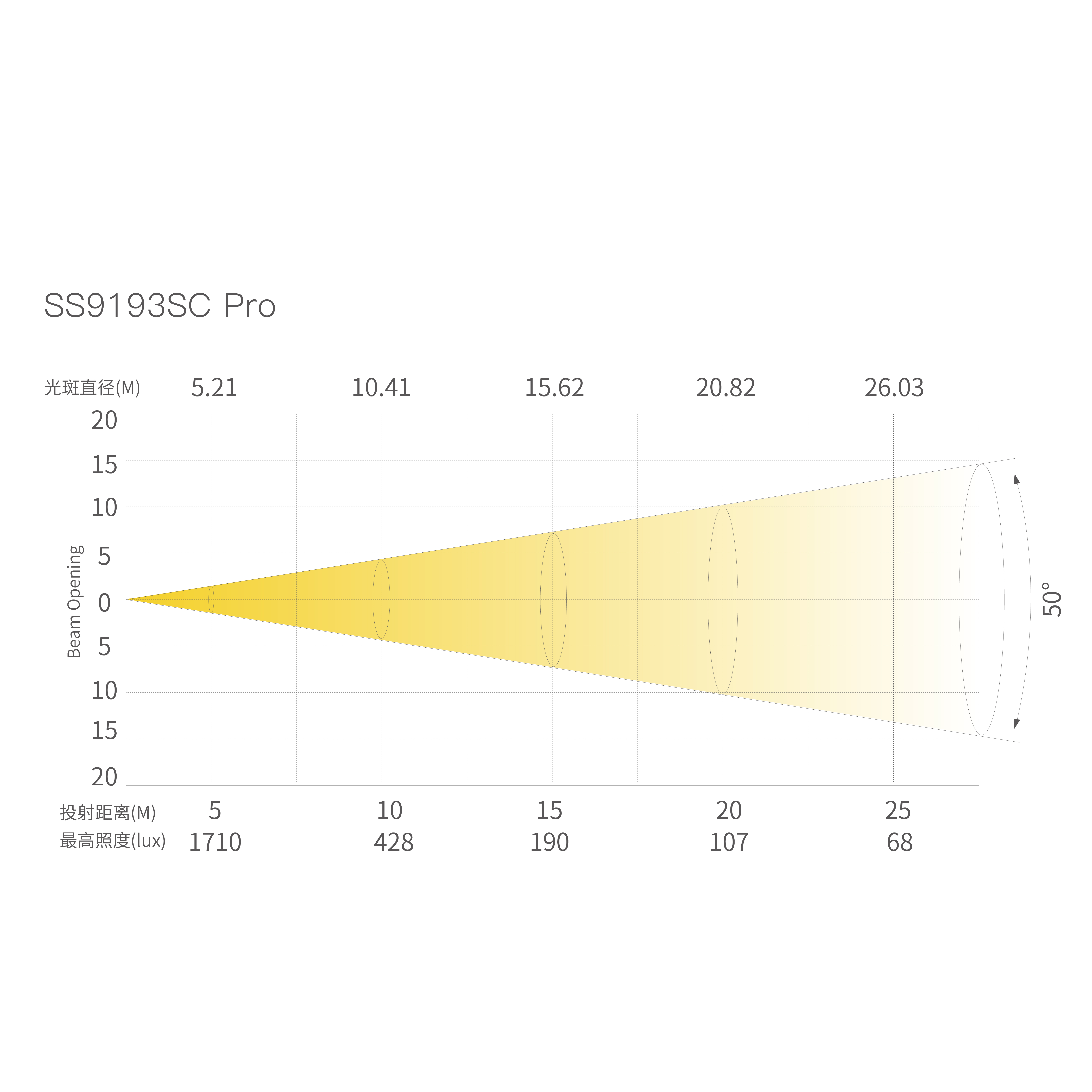 T16_画板 1 副本 11